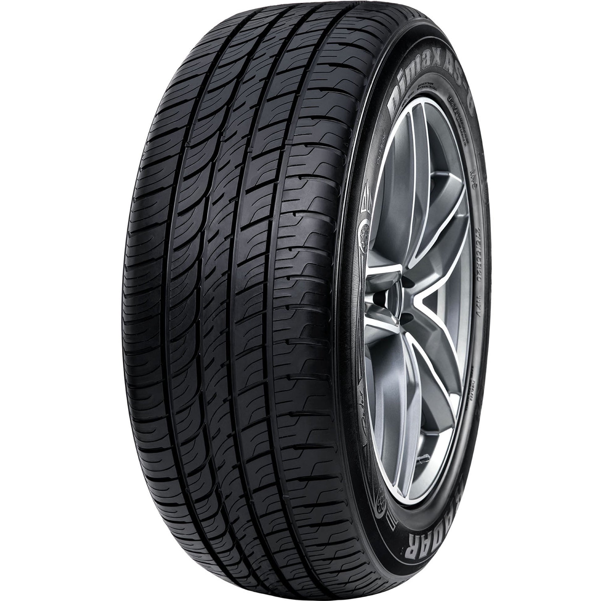 Radar Dimax AS-8 All Season 265/65R17 116V XL Passenger Tire